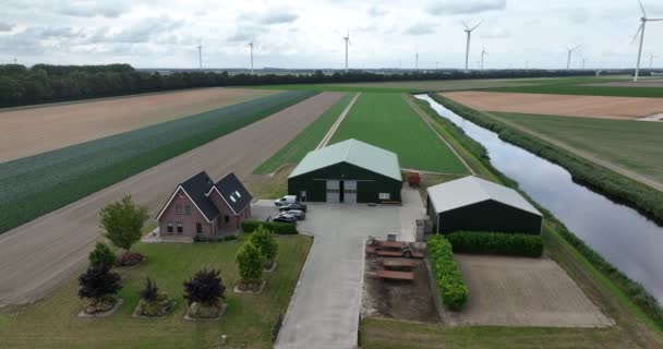 Azienda Agricola Podere Terreno Nei Paesi Bassi Coltivazione Terreni Erbosi — Video Stock