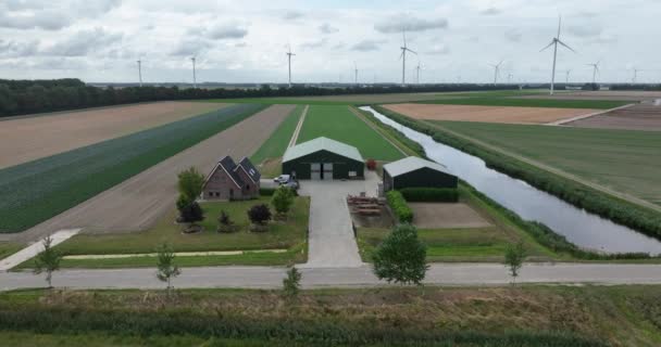 Pozůstalost Zemědělských Usedlostí Půdě Nizozemsku Hospodaření Travními Porosty Severním Holandsku — Stock video