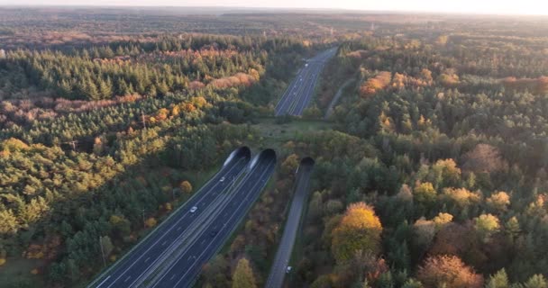 Ecoducto Ecopassage Puente Natural Cambio Juego Estructura Infraestructura Para Que — Vídeo de stock