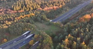 Eko, ekopasaj, doğa köprüsü ya da oyun değişimi. Hayvanların ve diğer vahşi yaşamın trafiği aşması için altyapı yapısı, bir otoyolun üzerinden geçmek. Doğa ve insan nesneleri birleştirdi. Hava aracı