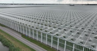 Organik sebzeler, tarımsal cam seralarda bitkiler yetiştirilerek yapılan ticari yapay üretim. Hollanda 'da ekin ekimi arazisi, tarım..