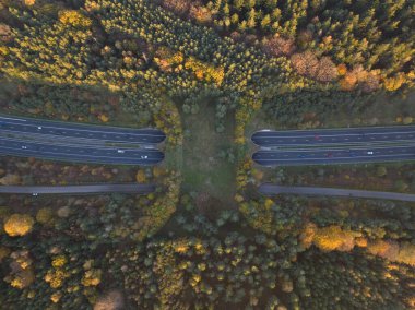 Eko, ekopasaj, doğa köprüsü ya da oyun değişimi. Hayvanların ve diğer vahşi yaşamın trafiği aşması için altyapı yapısı, bir otoyolun üzerinden geçmek. Doğa ve insan nesneleri birleştirdi. Havadan