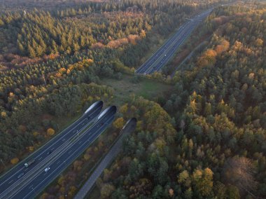 Eko, ekopasaj, doğa köprüsü ya da oyun değişimi. Hayvanların ve diğer vahşi yaşamın trafiği aşması için altyapı yapısı, bir otoyolun üzerinden geçmek. Doğa ve insan nesneleri birleştirdi. Havadan