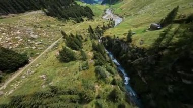 Taze dağ nehri deresi, bir FPV drone ile uçuyor. Macera yürüyüşü ormanı ve yeşil çayır vadisi.