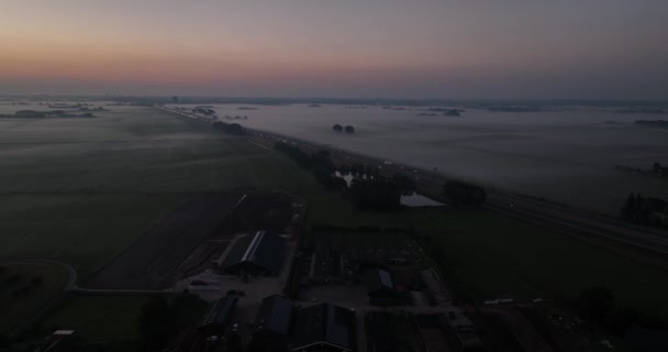 Lkbahar Mevsiminde Hollanda Güneş Doğar Sabahları Sisli Çiğ Taneleri Tepemizde — Stok video
