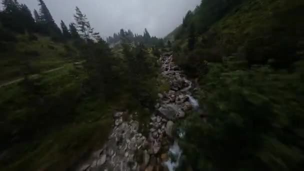 Швидкий Політ Гірській Стежці Річки Пішохідна Пригода Природа Безпілотного Літака — стокове відео