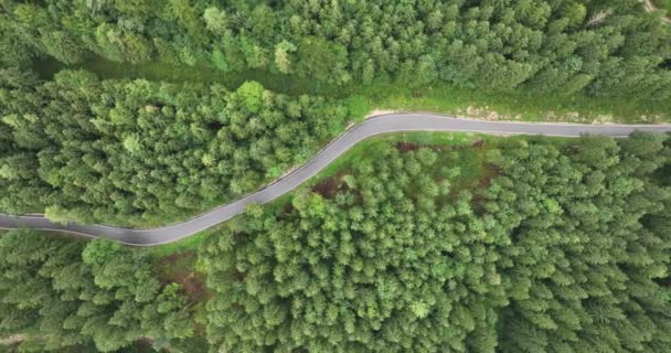 Forrest Road Kroutící Cesta Pohled Shora Dolů Navíjení Transportní Trasy — Stock video