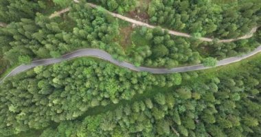 Forrest Yolu, kıvrımlı sürüş yolu, yukarıdan aşağıya doğru hava manzarası. Dönüş rotası. asfalt parçası.