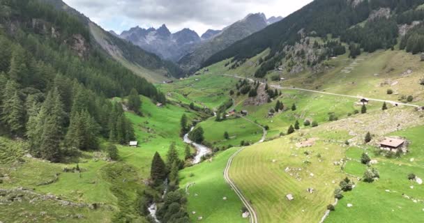 Flygfoto Schweiziskt Bergsraseri Och Ängsfält Liten Flod Som Rinner Genom — Stockvideo