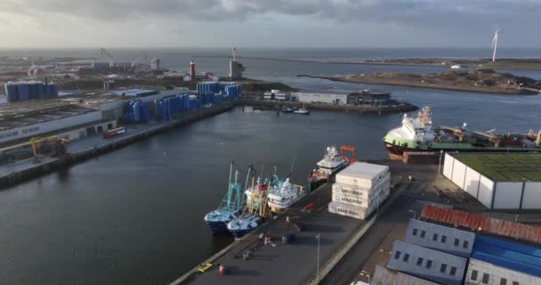 Ijmuiden 2023年12月11日 港口渔船 黄金时段港口俯瞰 — 图库视频影像