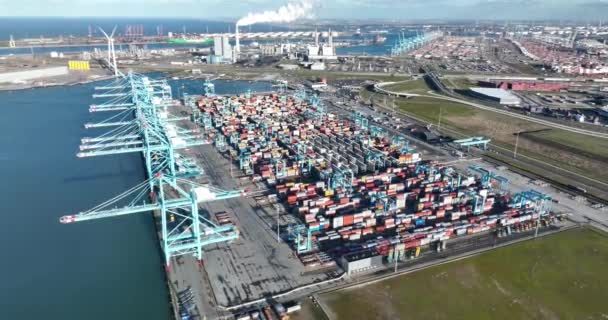 2023年1月19日 鹿特丹 荷兰在鹿特丹港过程中 集装箱船的自动卸货减少了人为干预 并使得能够更快和更有效率地卸货 — 图库视频影像