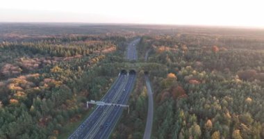Aerial drone footage of ecopassage over Dutch highway A12 shows safe crossing for animals, preserving local ecosystem, and sustainable infrastructure. Aerial overhead view.