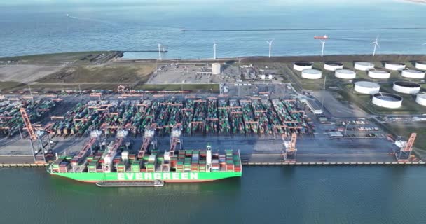 2023年1月19日 鹿特丹 荷兰鹿特丹港一艘 Quot Quot 集装箱船的空中无人驾驶镜头 他的船 货物和后勤业务 技术和基础设施 — 图库视频影像