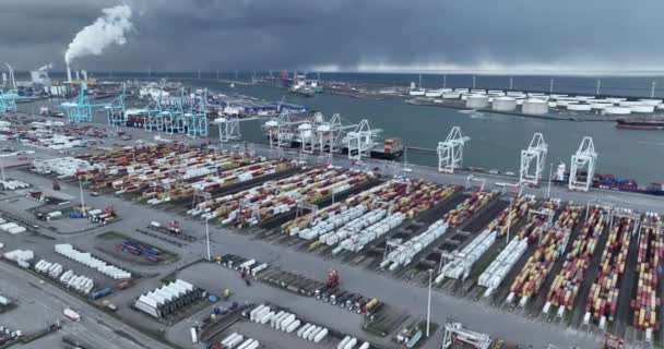 2023年1月19日のロッテルダム オランダ ロッテルダムの主要なコンテナハブであるEuropoortは 高度な技術と効率的な貨物処理のための大容量を誇っています — ストック動画
