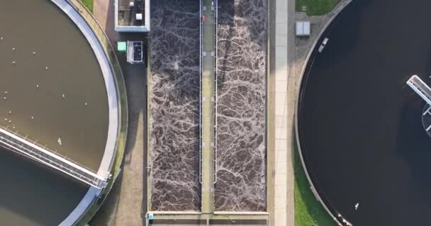 下水処理場の空中ドローン映像では 下水処理施設 インフラ 水の洗浄 再利用技術を紹介しています 空中ドローンビデオ — ストック動画