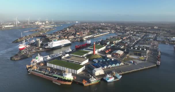Ijmuiden 11Th December 2023 Netherlands Ijmuiden Port Busy Hub Ships — Vídeos de Stock