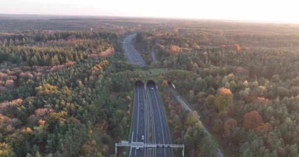Aerial Drone Video Ecoduct Nature Passage Highway Netherlands Showcasing Countrys — Wideo stockowe