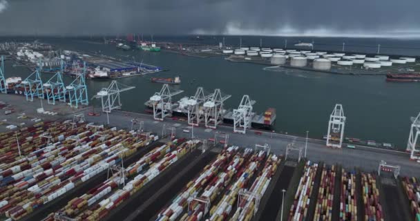 Rotterdam 19Th January 2023 Netherlands Drone Video Ect Delta Terminal — Stockvideo