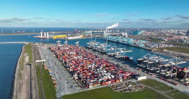 Роттердам Січня 2023 Нідерланди Крейн Ефективно Піднімає Контейнери Кораблів Поліпшені — стокове відео
