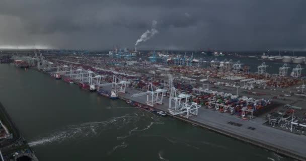 Rotterdam 19Th January 2023 Netherlands Impressive Drone Footage Rotterdam Container — Stock Video