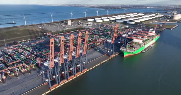 Rotterdam 19Th January 2023 Netherlands Aerial Perspective Rotterdam Container Terminal — 비디오