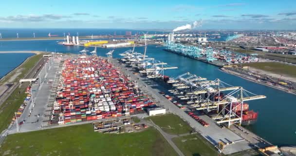 Rotterdam 19Th January 2023 Netherlands Bright Sun Shining Containers Ships — Αρχείο Βίντεο
