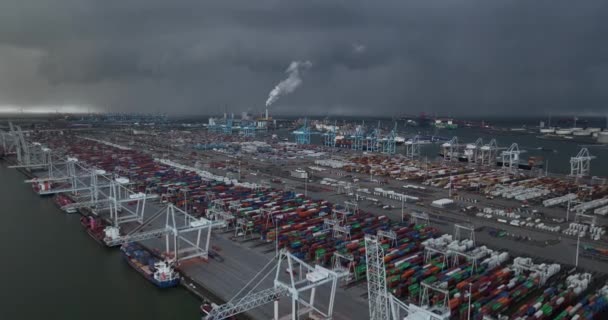 Rotterdam 19Th January 2023 Netherlands Imposing Drone Footage Rotterdam Container — Vídeo de stock