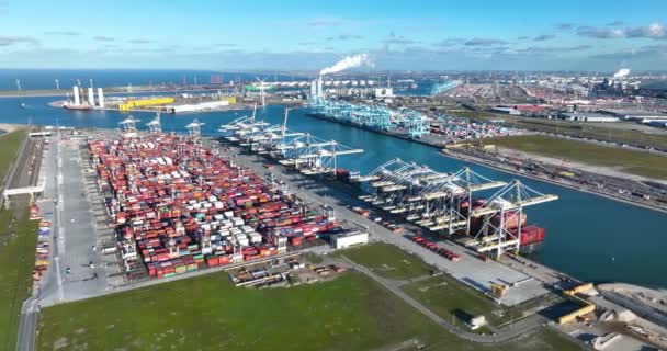 Rotterdam 19Th January 2023 Netherlands Vast Container Terminal Bustling Cranes — Vídeos de Stock