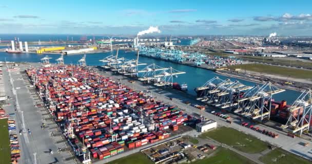 Rotterdam Enero 2023 Países Bajos Una Perspectiva Única Del Puerto — Vídeo de stock