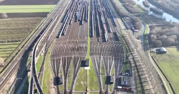 Aerial Drone View Railway Yard Capturing Activity Architecture Beauty Bustling — Stock Video