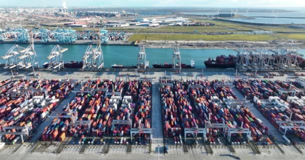 2023年1月19日オランダのロッテルダム ロッテルダム港とその複雑なコンテナターミナルのユニークな視点は 船舶の複雑な積み降ろしを目撃する — ストック動画
