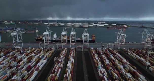 Rotterdam 19Th January 2023 Netherlands Watch Efficiency Automated Container Handling — 图库视频影像