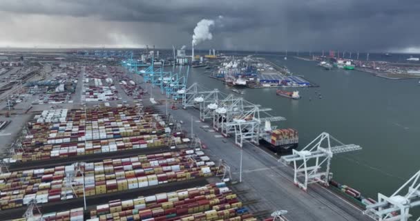 Rotterdam Januari 2023 Nederländerna Ett Unikt Och Dynamiskt Perspektiv Container — Stockvideo