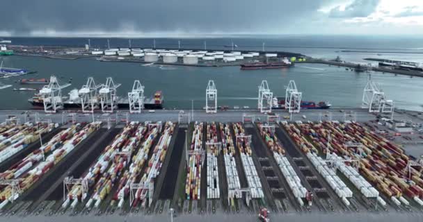 Rotterdam 19Th January 2023 Netherlands Aerial View Container Facility Drone — ストック動画
