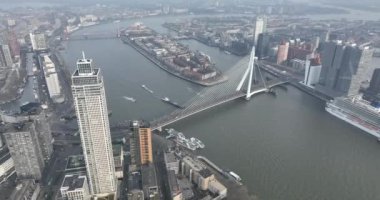Büyüleyici bir insansız hava aracıyla Nieuwe Maas ve Noordereiland üzerinde uçun, Zalmhavenven kulesine ve ikonik Erasmusbrug köprüsüne yakından bakmadan önce.