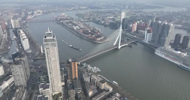 Смотрите Красоту Роттердамс Сверху Беспилотник Захватывает Элегантный Мост Erasmusbrug Новый — стоковое видео