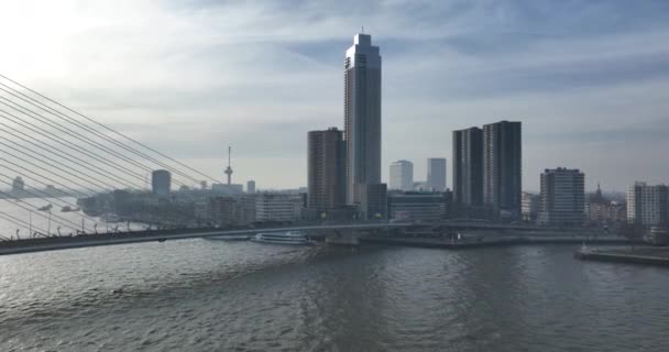 Urzekający Materiał Filmowy Kultowego Panoramy Rotterdams Oglądany Rzeki Nieuwe Maas — Wideo stockowe