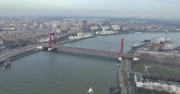 Breathtaking Panorama Willemsbrug Capturing Its Impressive Scale Modern Architecture Backdrop — ストック動画