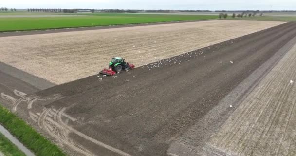 Hava Görüntüleri Saban Alanı Ekili Tarım Alanı Tarım Traktördeki Çiftçi — Stok video