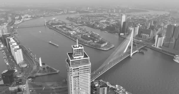 Rotterdam 15Th February 2023 Netherlands Rotterdam Skyline City Netherlands Zalmhaventoren — Stock Video