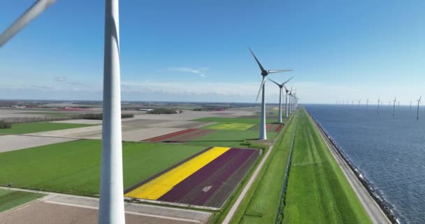 一段迷人的无人驾驶视频 画面上是荷兰的Noord Oost水堤 在晴朗的天气里展现了美丽的风景 — 图库视频影像
