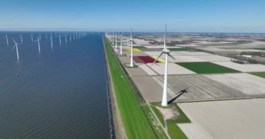 Bulutları ve mavi gökyüzü olan off-shore yel değirmeni parkı, rüzgar türbini Flevoland Hollanda 'nın deniz manzaralı yel değirmeni parkı Ijsselmeer. Yeşil enerji, hava aracı videosu.