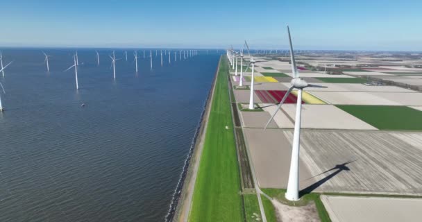 Flevoland Daki Lale Tarlalarını Noordoostpolder Rüzgar Türbinlerini Gösteren Büyüleyici Hava — Stok video