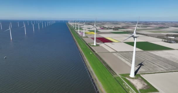 Flygfoto Över Grön Nördig Generation Shore Vindkraftverk Vindkraftsenergi Nederländerna — Stockvideo