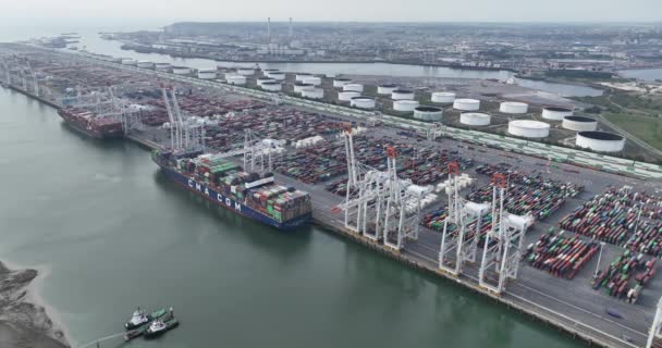 Havre Mayıs 2023 Fransa Fransa Daki Havre Limanındaki Konteyner Limanı — Stok video