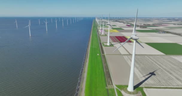 Aerial Drone Video Offshote Wind Turbine Park Generating Green Energy — Stock Video