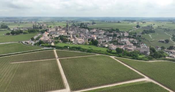Vinice Saint Emilion Poblíž Bordeaux Francie Zobrazení Leteckých Dronů — Stock video
