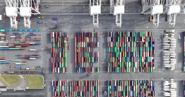 Havre Frankrijk Juni 2021 Msc Bettina Een Van Grootste Containerschepen — Stockvideo