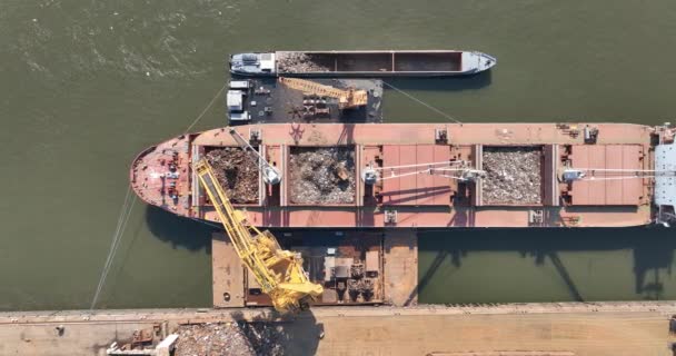 Top View Bulk Carrier Being Loaded Port Rotterdam Netherlands — Stock Video