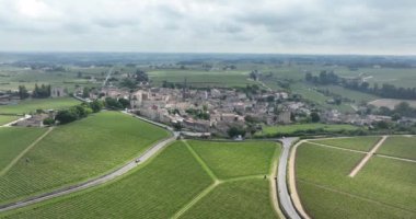 Üzüm bağları, Saint-Emilion, Gironde, Fransa. Hava aracı görünümü.